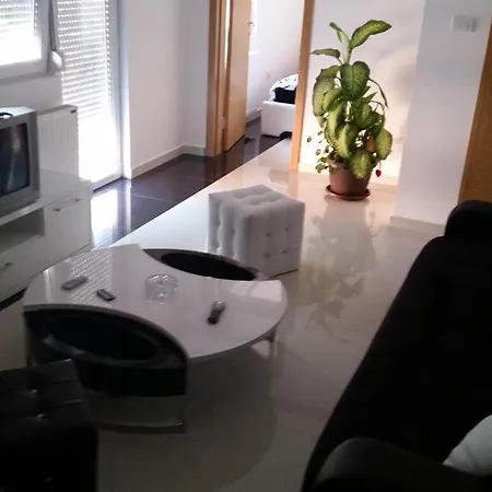 Maca Novi Sad