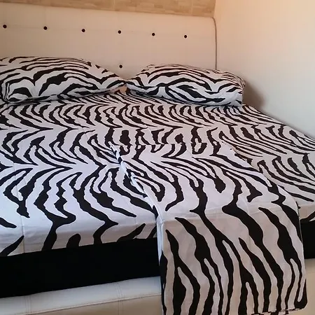 Apartment Maca Novi Sad