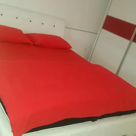Maca Novi Sad