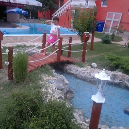 Maca *