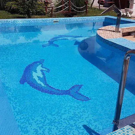 Maca * Novi Sad