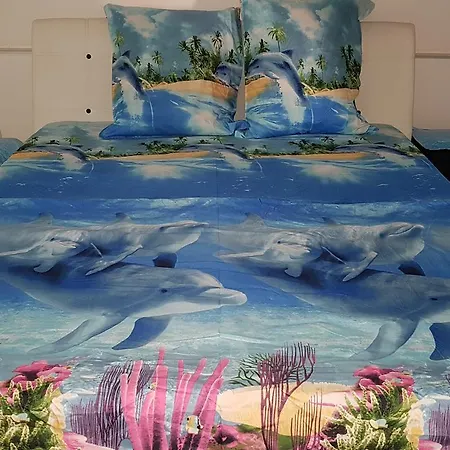 Maca Apartment *