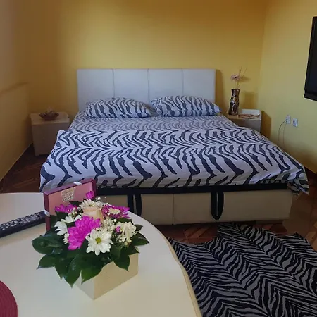 Apartment Maca Novi Sad